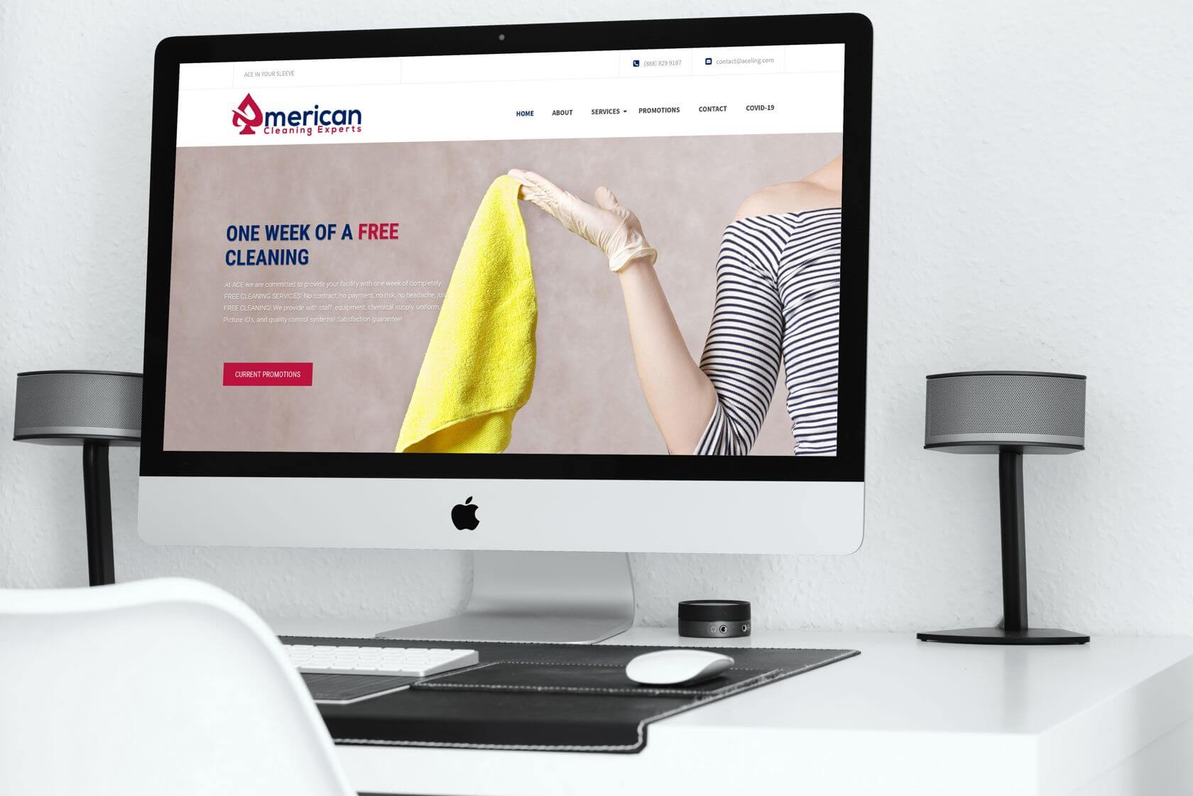 American Cleaning Experts